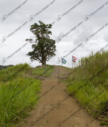 Download Photos Puerto Rico Image Stock | Pictures PR