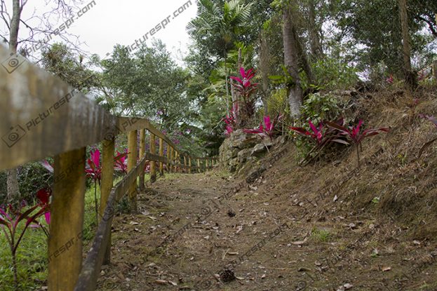 Download Photos Puerto Rico Image Stock | Pictures PR