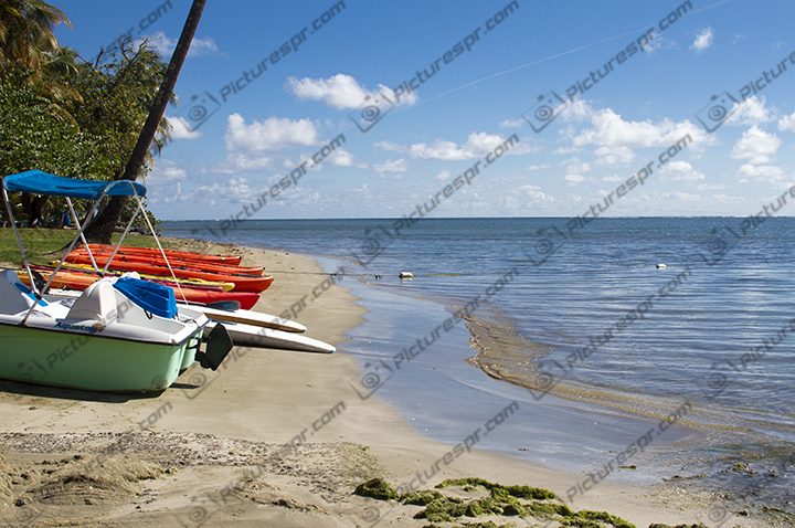 Download Photos Puerto Rico Image Stock | Pictures PR