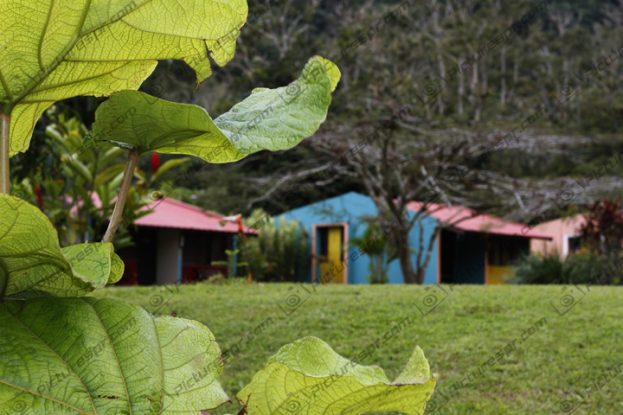 Download Photos Puerto Rico Image Stock | Pictures PR