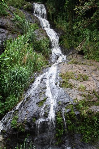 Download Photos Puerto Rico Image Stock | Pictures PR