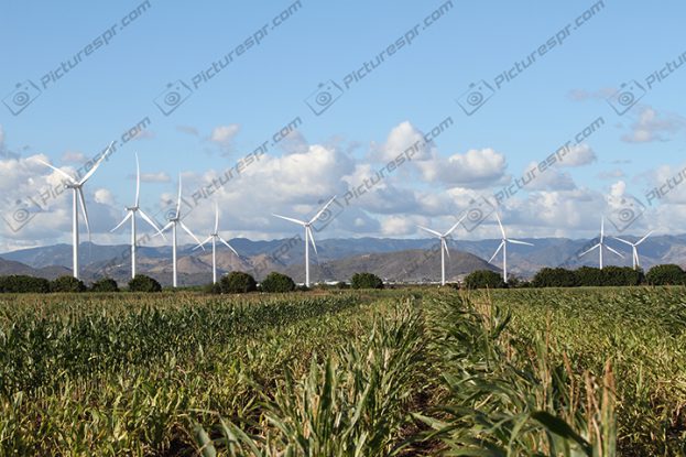 Download Photos Puerto Rico Image Stock | Pictures PR